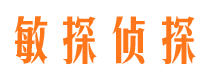 藤县市调查取证